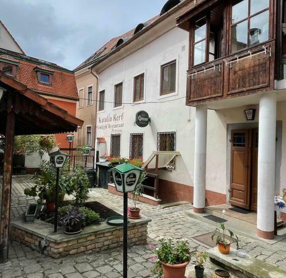 Номер Стандарт, Katalinkert Panzió