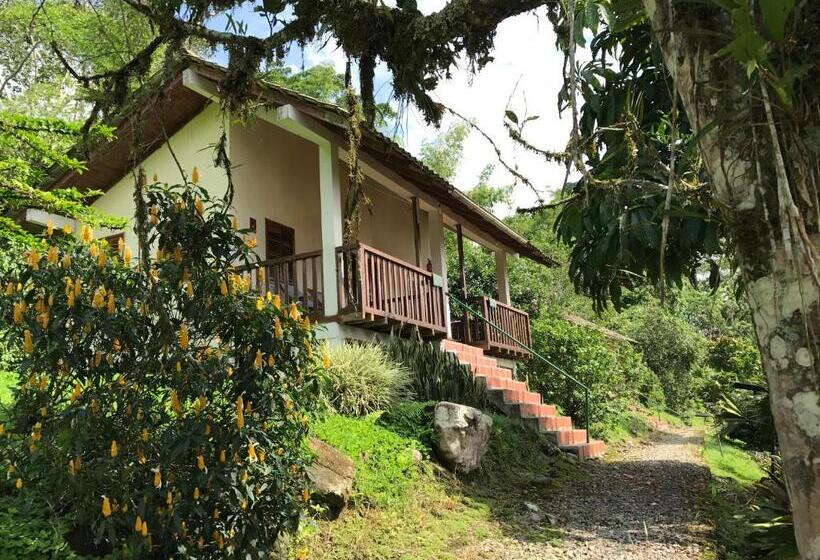 Номер Стандарт, Jungle Lodge El Jardin Aleman