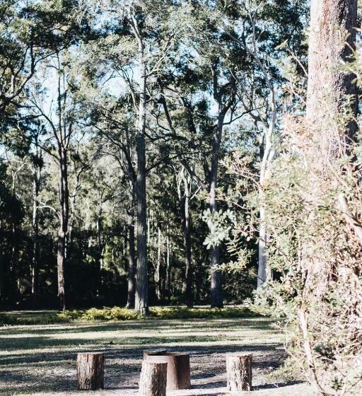 Студия Стандарт, Worrowing Jervis Bay