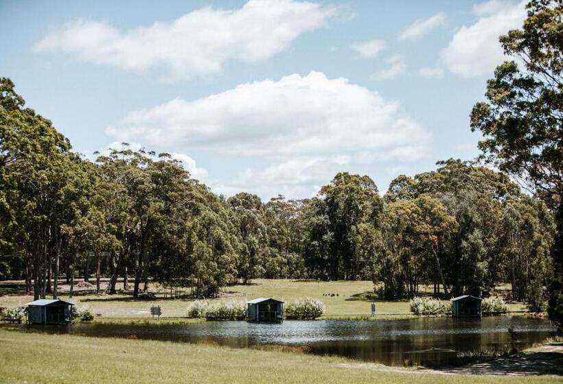 Студия Стандарт, Worrowing Jervis Bay