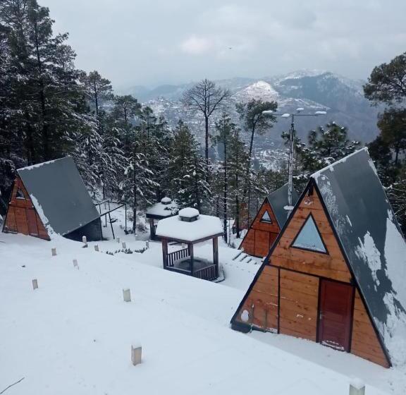 اتاق لوکس, Orange Loft, Glamp Park Murree