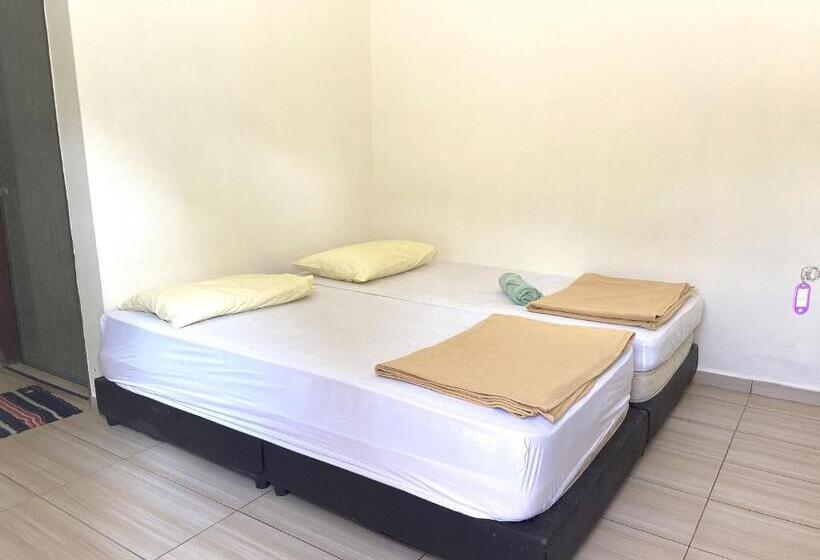 Номер Стандарт, Oyo 90971 Pollock Homestay