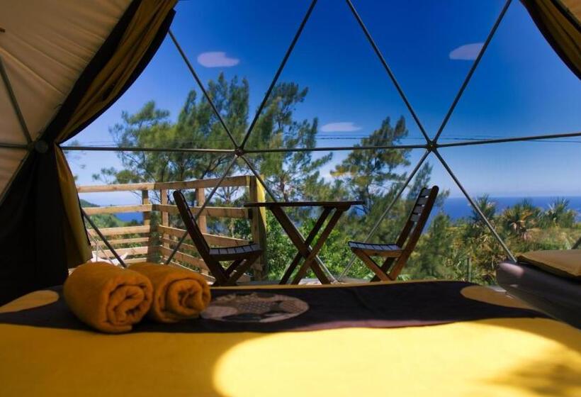 اتاق استاندارد, Bubble Dome Village