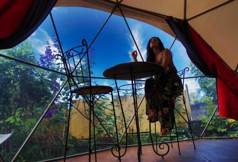اتاق استاندارد, Bubble Dome Village
