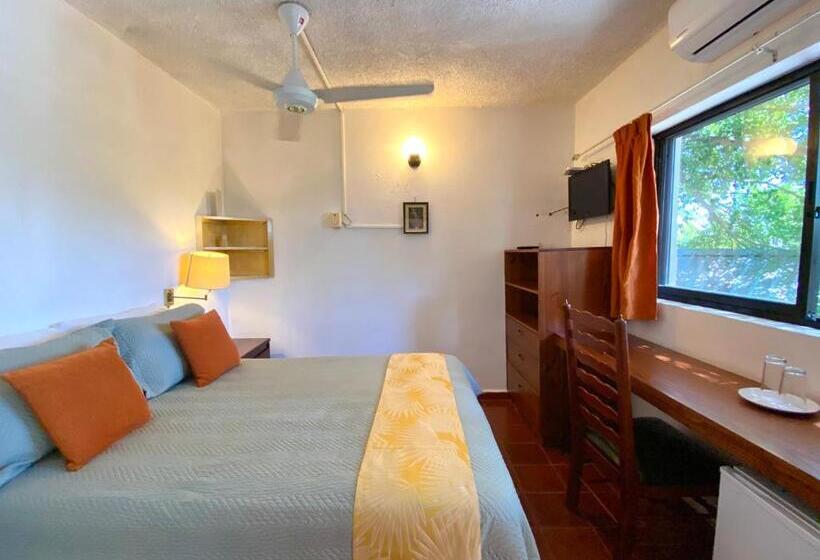 Quarto Estandar, Alegria