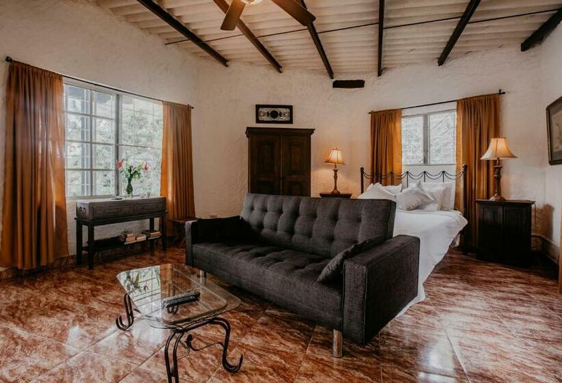 Номер Стандарт Вид на Бассейн, The Golden Frog Inn
