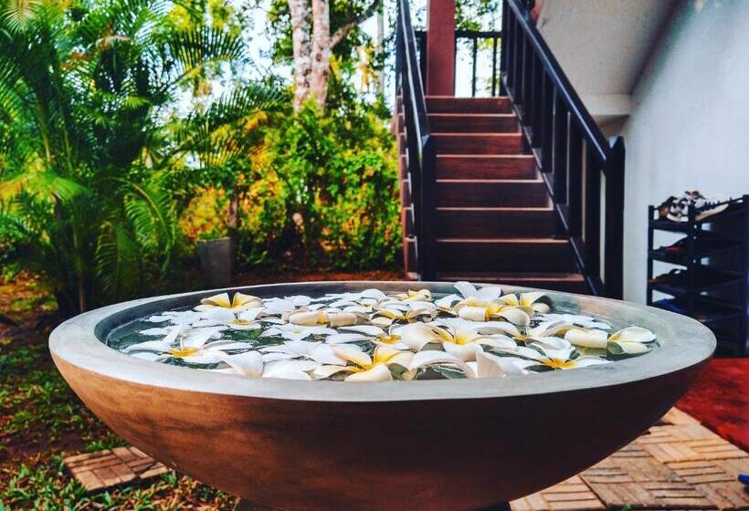 디럭스 룸, All View Resort