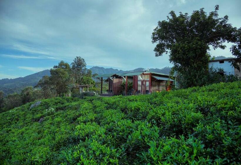 Шале 1 Спальня, Cool Mount Resort