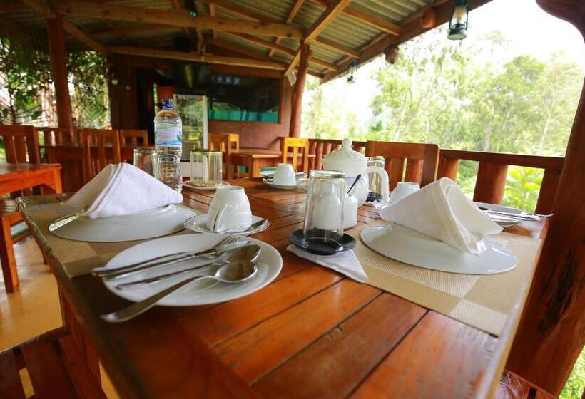 标准房带园景, Tea Forest Lodge