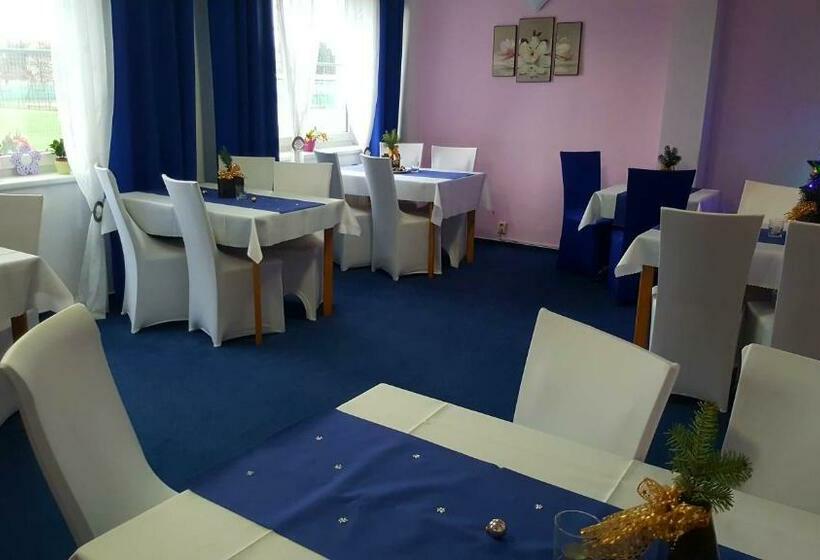 اتاق سوپریور, Wellness Hotel Staré Město