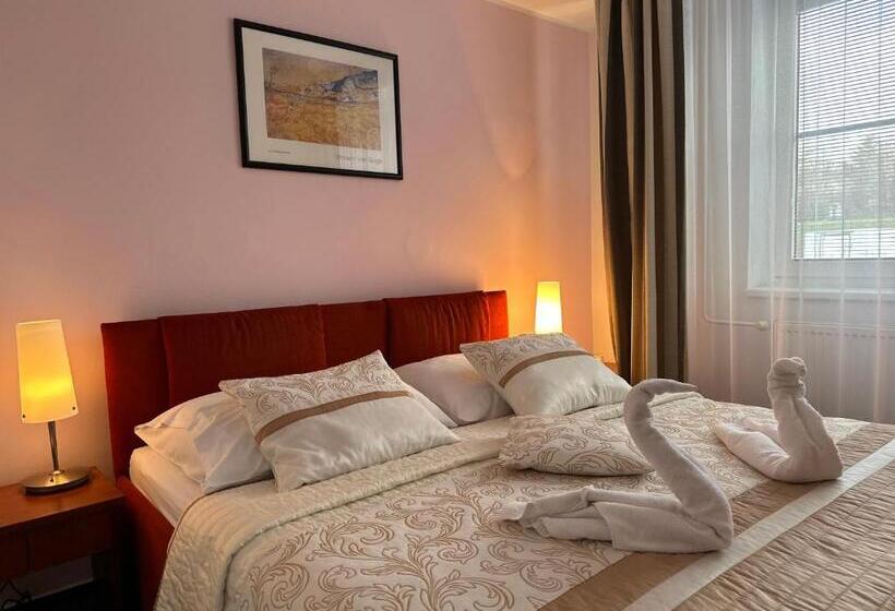 اتاق سوپریور, Wellness Hotel Staré Město