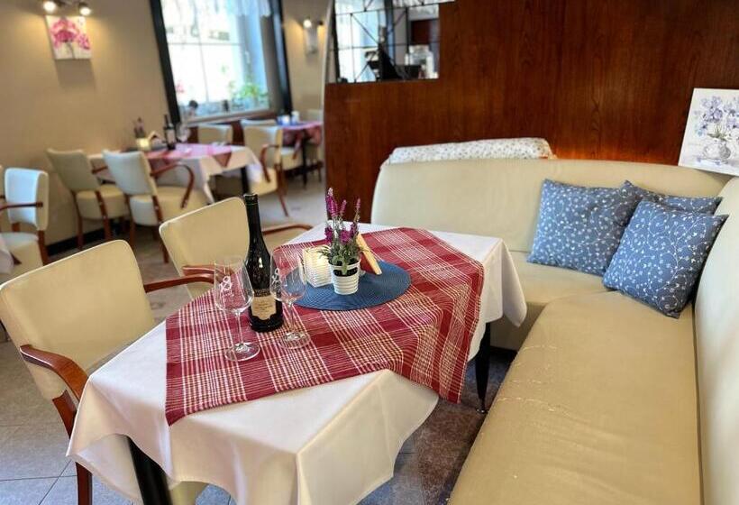 اتاق استاندارد یک نفره, Wellness Hotel Staré Město