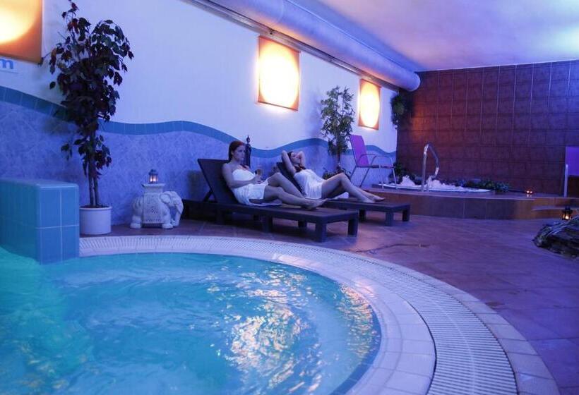 اتاق استاندارد یک نفره, Wellness Hotel Staré Město