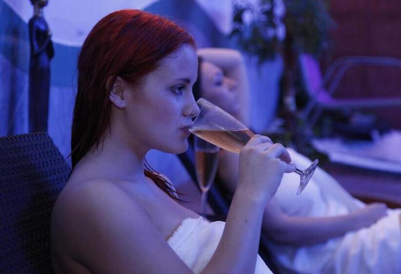 اتاق استاندارد, Wellness Hotel Staré Město