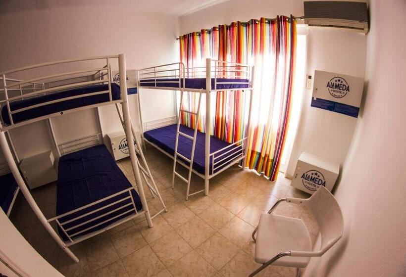 Кровать в Общей Комнате, Alameda Hostel
