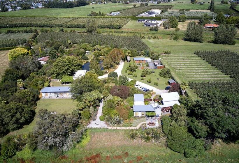 Номер Классика Кровать Кинг, Te Mata Views Resort