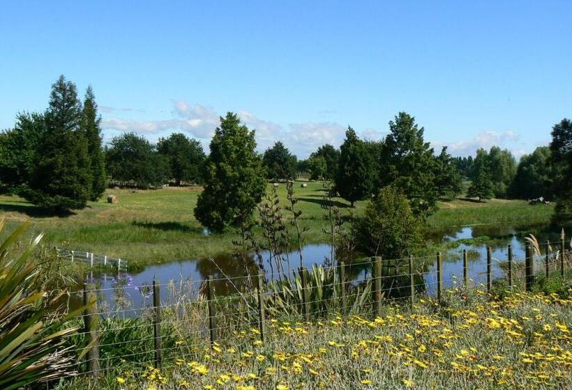 Номер Стандарт, Te Mata Views Resort