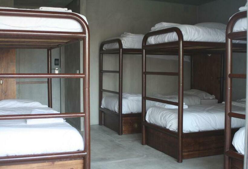 공동 객실, N1 Hostel Apartments And Suites