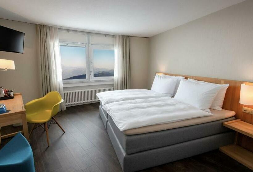 Quarto Estandar, Bellevue Kriens