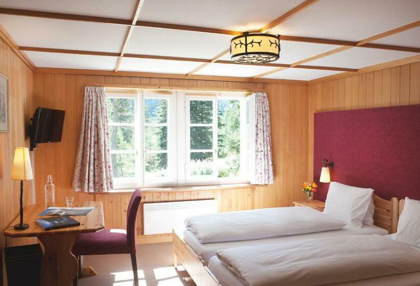 Номер Стандарт, Und Naturresort Handeck
