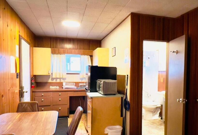 Апартаменты 2 Спальни, Airport Inn