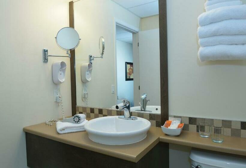 Номер Superior, Hôtel Centre Ville