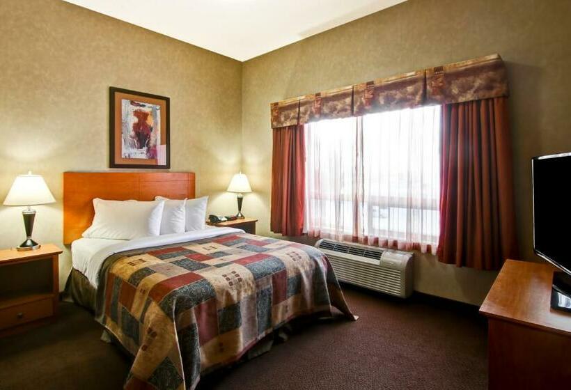 Family Suite, Stettler Canalta