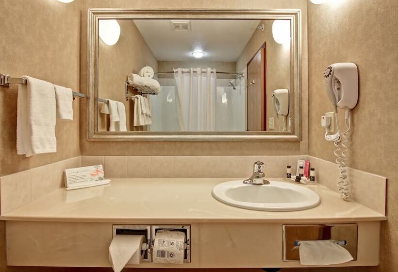 Family Suite, Stettler Canalta