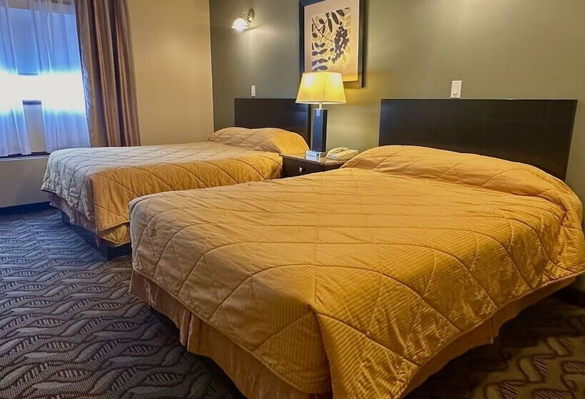 带2个双人床的标准工作室, Lacombe Motor Inn