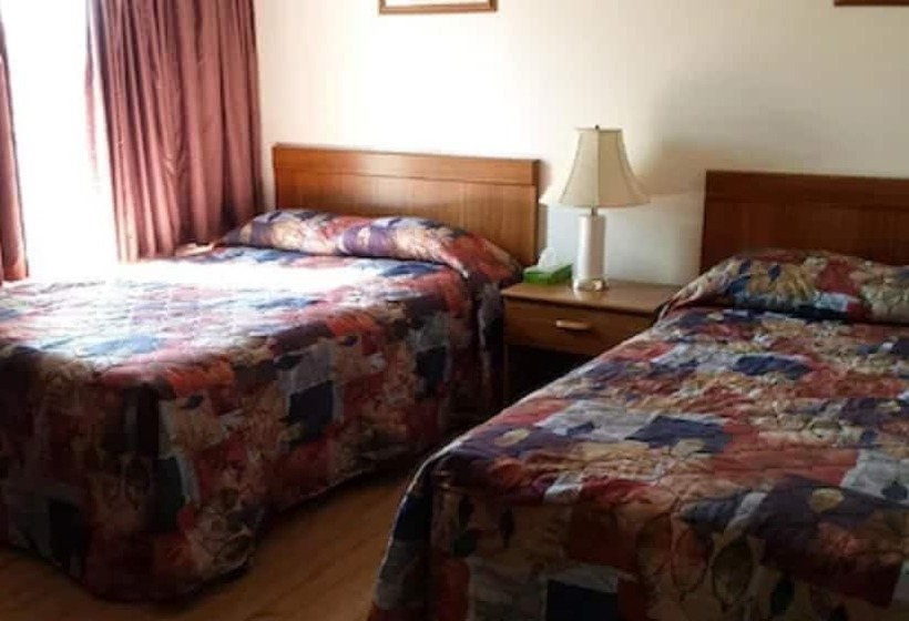 ２ダブルベッドのスタンダードルーム, Yorke Inn Motel