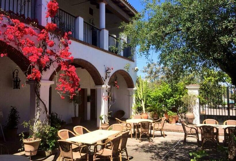 Номер Стандарт, Cortijo Las Grullas