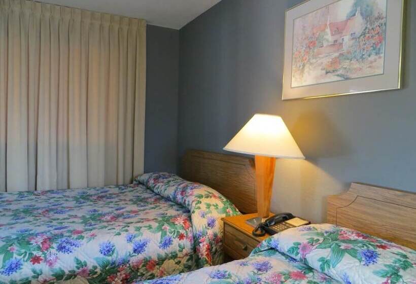 Номер Стандарт, Capri Motel