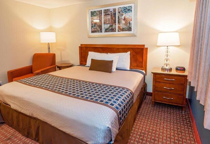 Стандартный Номер Кровать Кинг, Riviera Inn