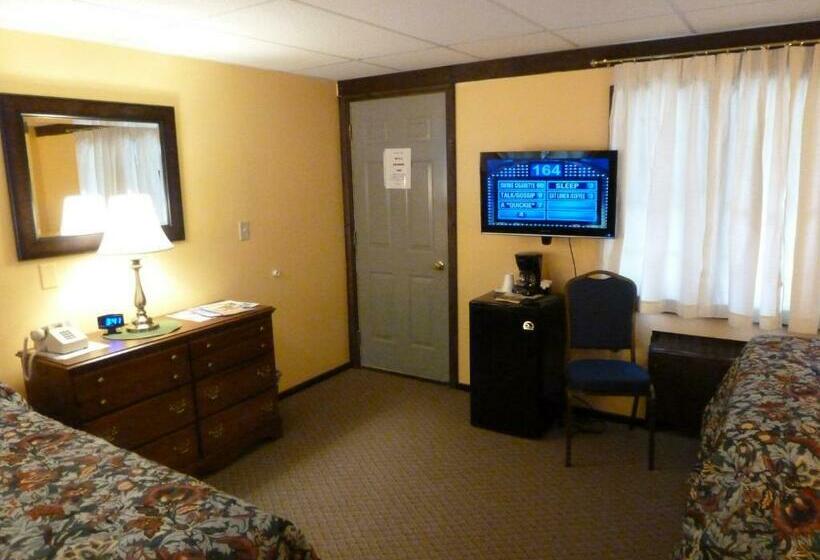Номер Deluxe, Viking Motel