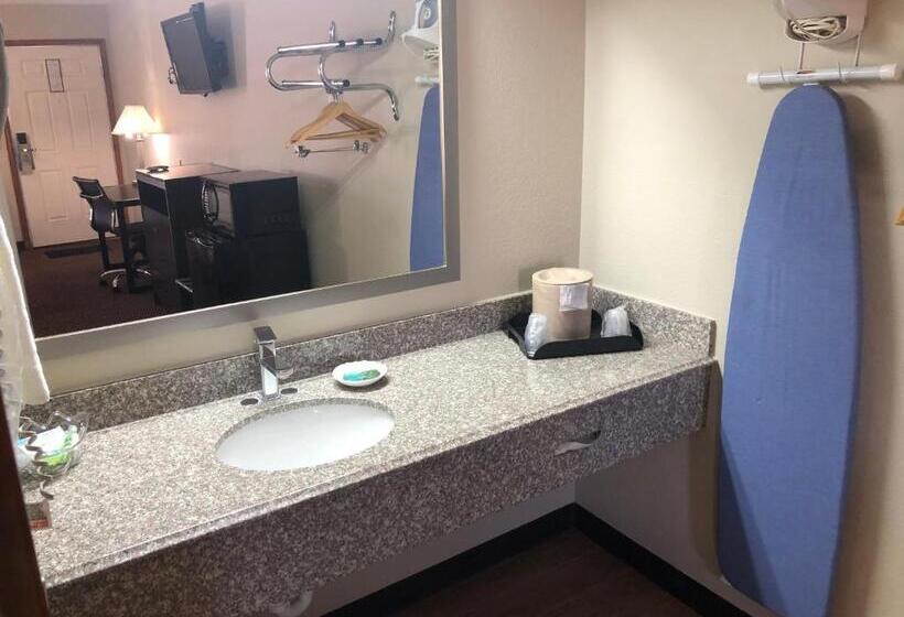 חדר סטנדרט עם מיטת קינג, Friona Inn