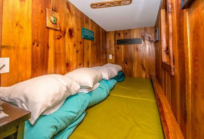 Дом 1 Спальня, Adventure Suites