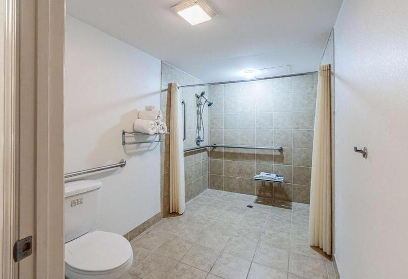 חדר סטנדרט מותאם לאדם עם מוגבלויות, Motel 6 Martinsburg, Wv