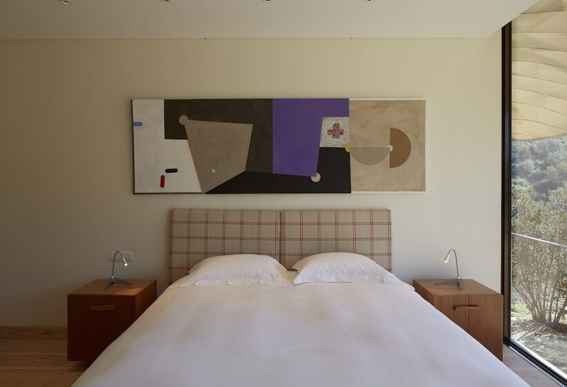 سوییت, Vik Chile