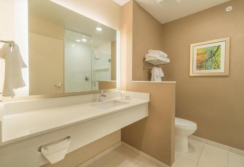 스탠다드 룸 킹사이즈 침대, Fairfield Inn & Suites By Marriott Gaylord