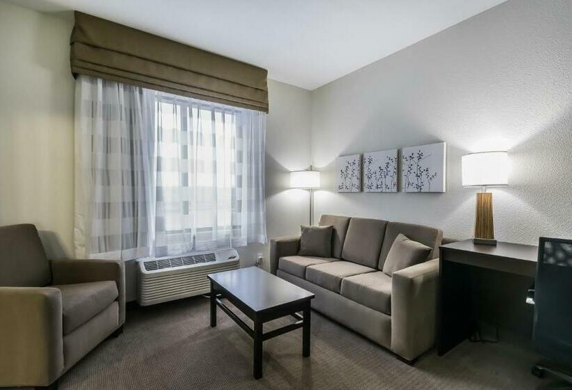 Люкс Кровать Кинг, Sleep Inn & Suites Columbia