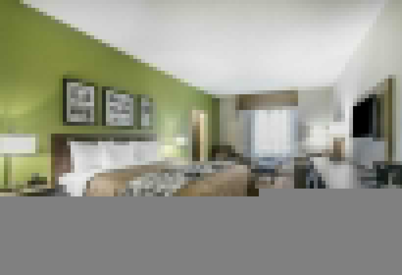 Стандартный Номер Кровать Кинг, Sleep Inn & Suites Columbia