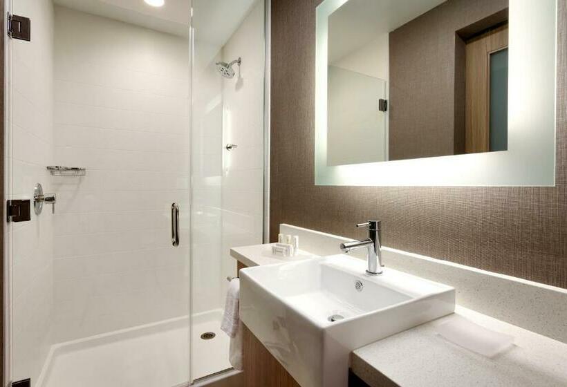 带大床的套房, Springhill Suites By Marriott Idaho Falls