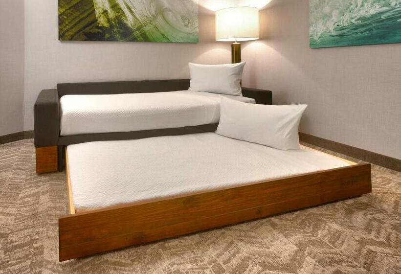 套房, Springhill Suites By Marriott Idaho Falls