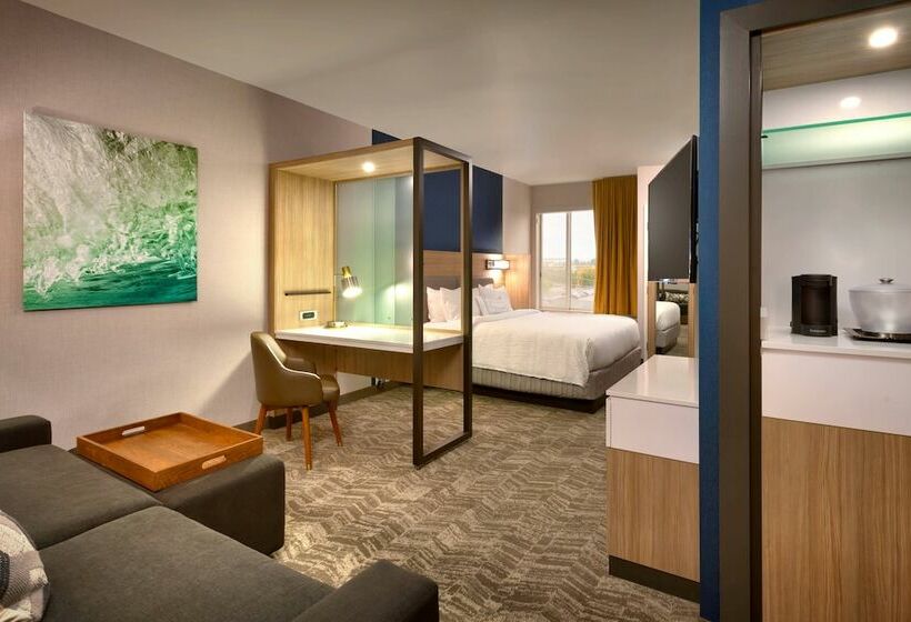 套房, Springhill Suites By Marriott Idaho Falls