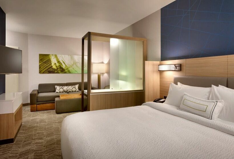 套房, Springhill Suites By Marriott Idaho Falls