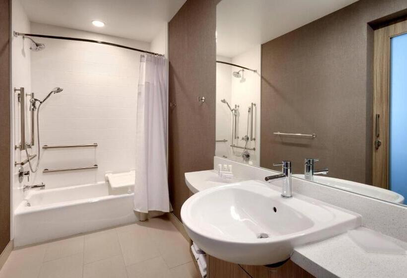 带大床的套房, Springhill Suites By Marriott Idaho Falls