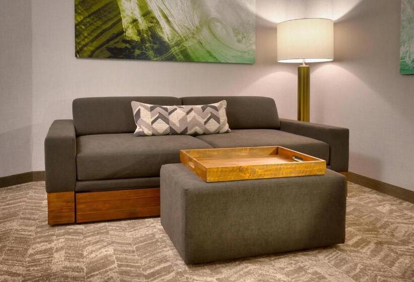 带大床的套房, Springhill Suites By Marriott Idaho Falls