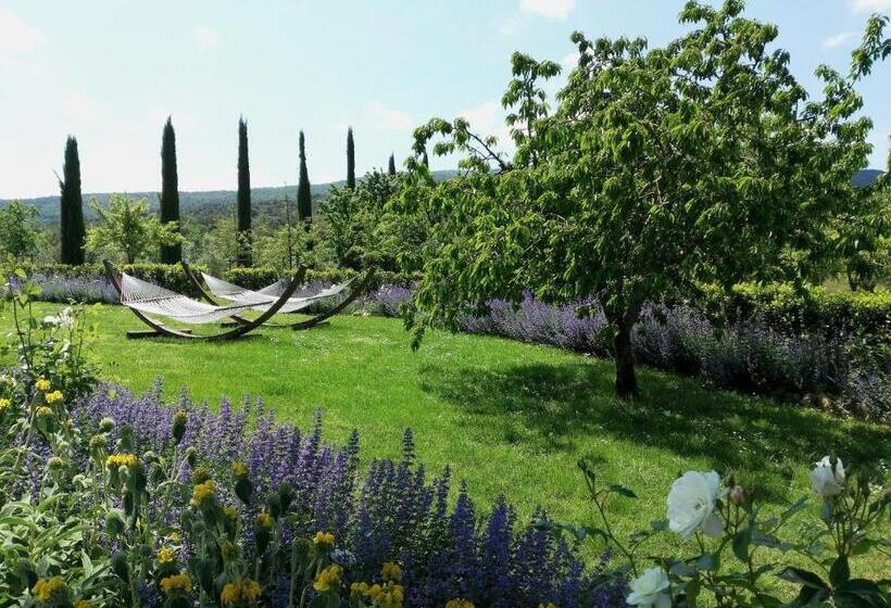 آپارتمان 1 خوابه, Borgo De Brandi