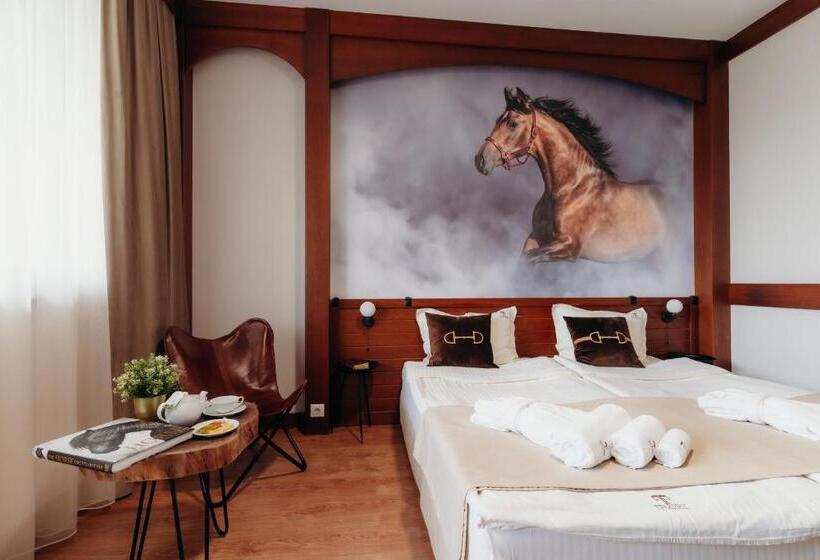 غرفة قياسية, Boutique Complex Trakiets