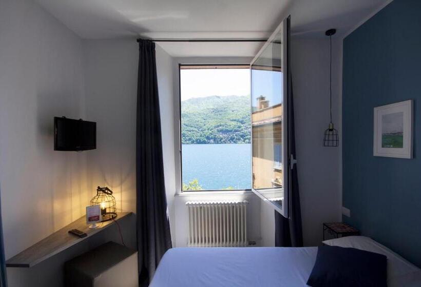 חדר בסיסי, Orso Bruno